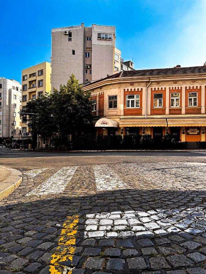 Insta-Apt Old Town Central Park Renovated Belgrade Exterior photo